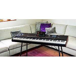 Korg Pa5X 61 61 key Arranger Workstation, Indonesian Version